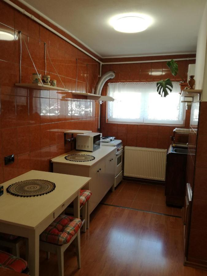 Sara Apartman Târgu-Mureş Eksteriør billede